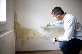 Reliable Berlin, WI Mold Inspection Solutions